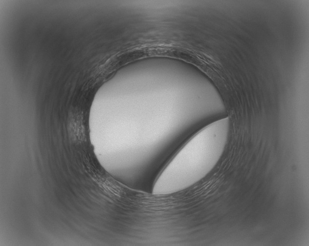 X0000054361252200507290756