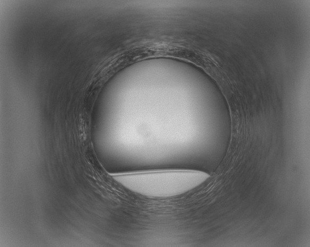 X0000054361253200507290756