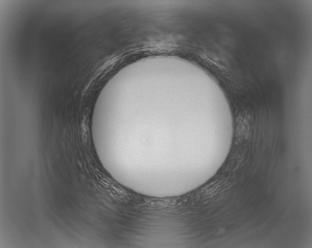 X0000054361254200507290756