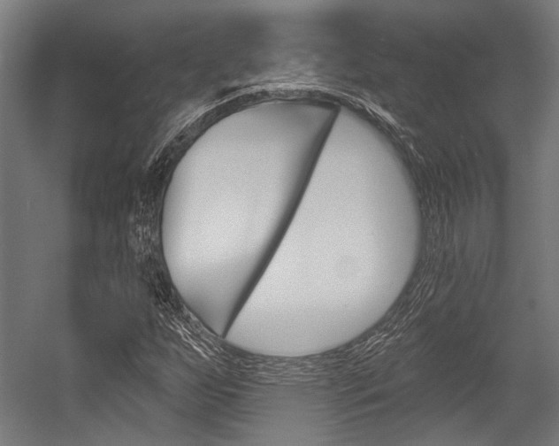 X0000054361255200507290756