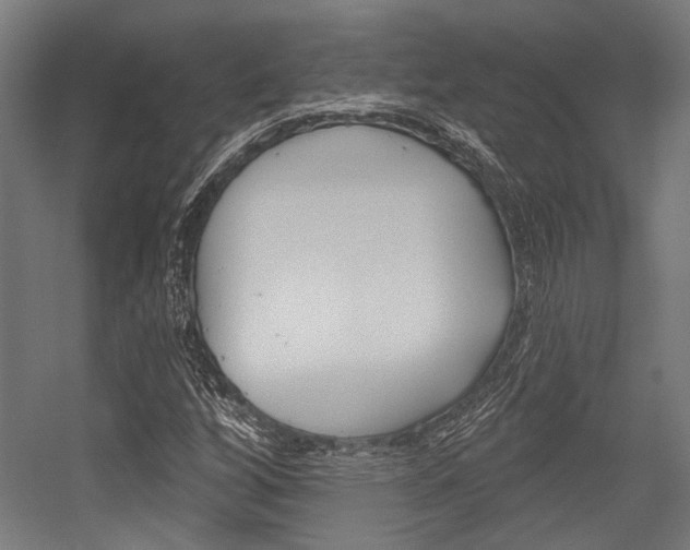 X0000054361256200507290756