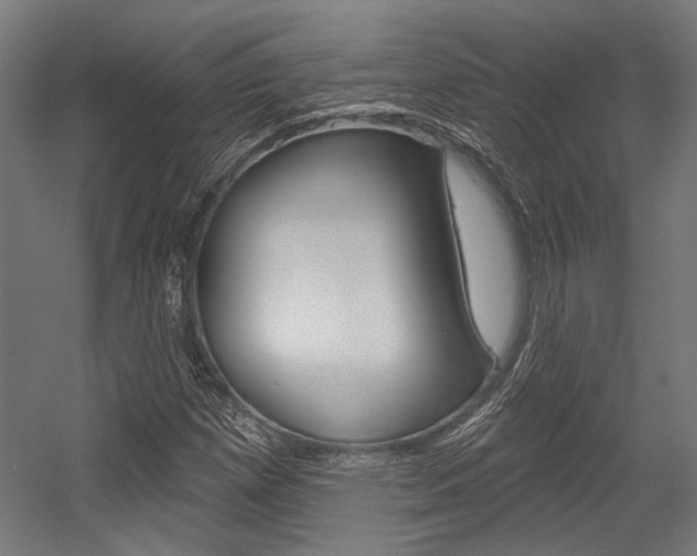 X0000054361257200507290756