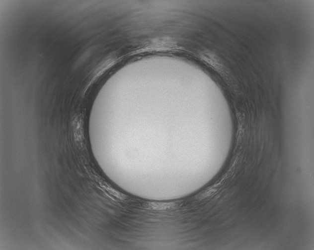 X0000054361258200507290756