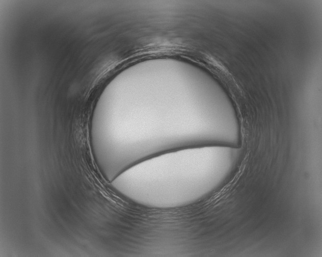X0000054361259200507290756