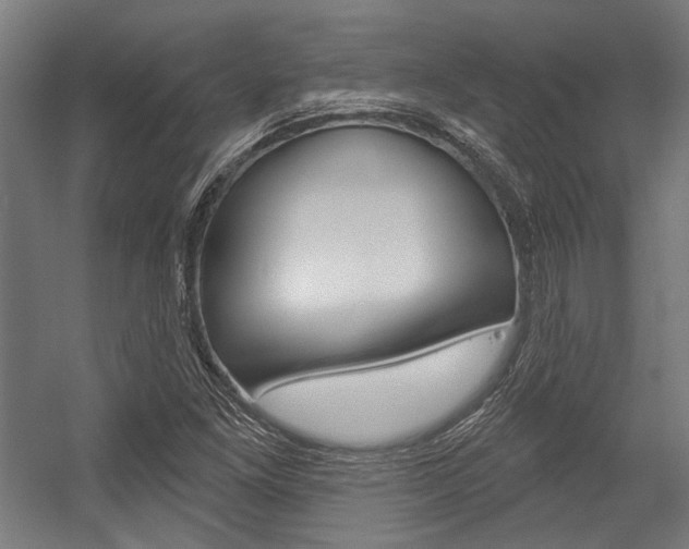 X0000054361261200507290755