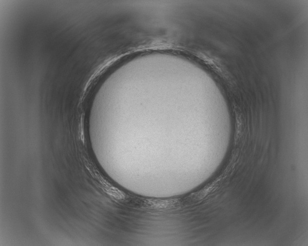 X0000054361262200507290755