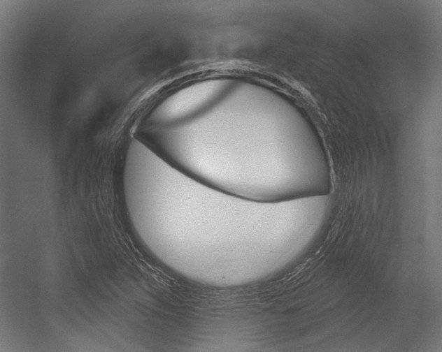 X0000054361263200507290755