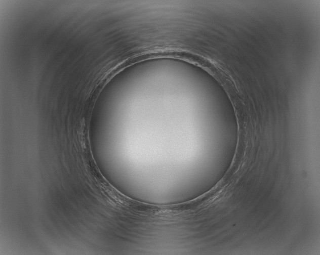 X0000054361265200507290755