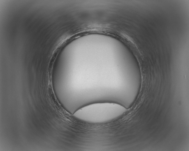 X0000054361267200507290755