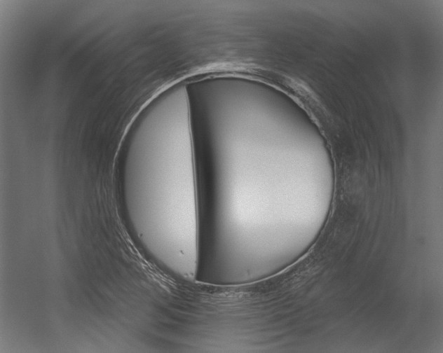 X0000054361268200507290755