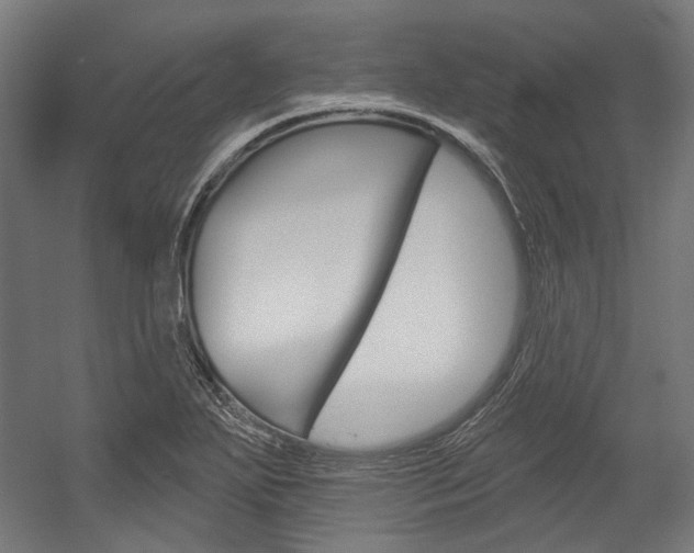 X0000054361271200507290755