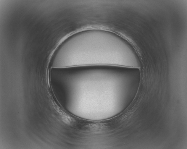 X0000054361272200507290755