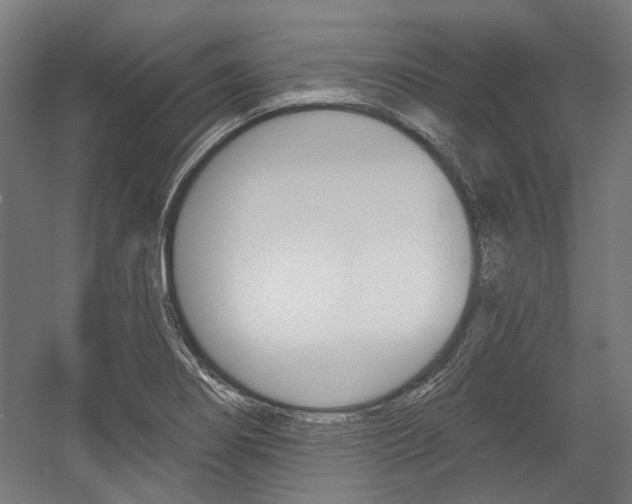 X0000054361274200507290755