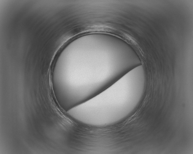 X0000054361275200507290755