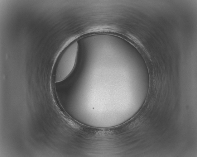 X0000054361277200507290755
