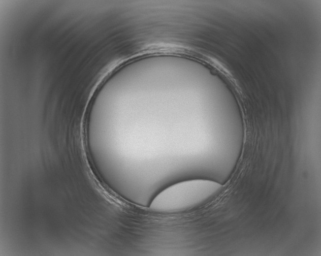 X0000054361283200507290755