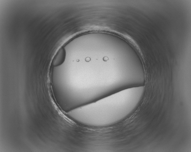 X0000054361287200507290755