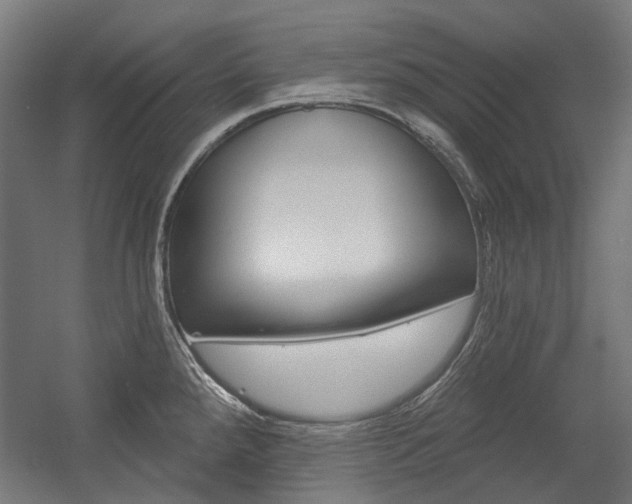X0000054361288200507290755