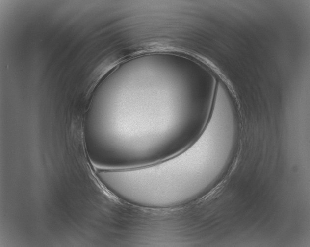 X0000054361289200507290755