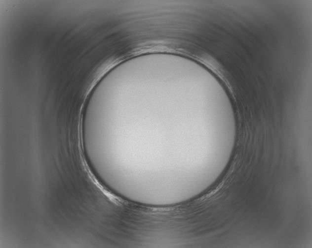 X0000054361290200507290755