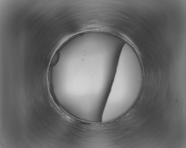 X0000054361291200507290755