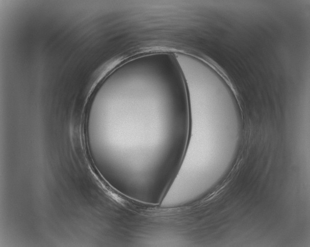 X0000054361293200507290755