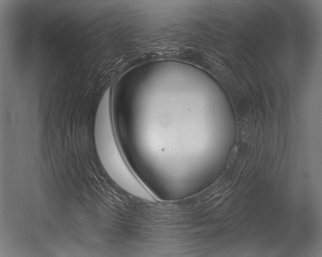 X0000054361298200507290754