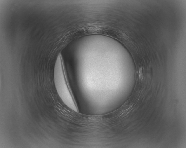 X0000054361299200507290754