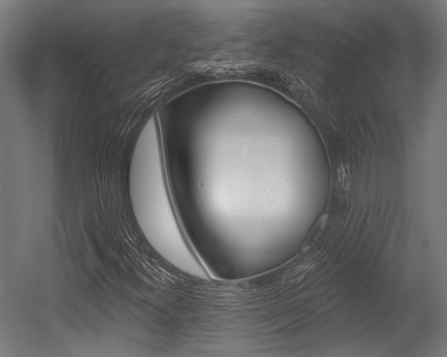 X0000054361300200507290754