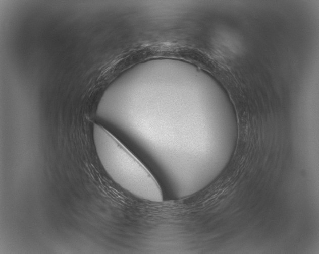 X0000054361301200507290754