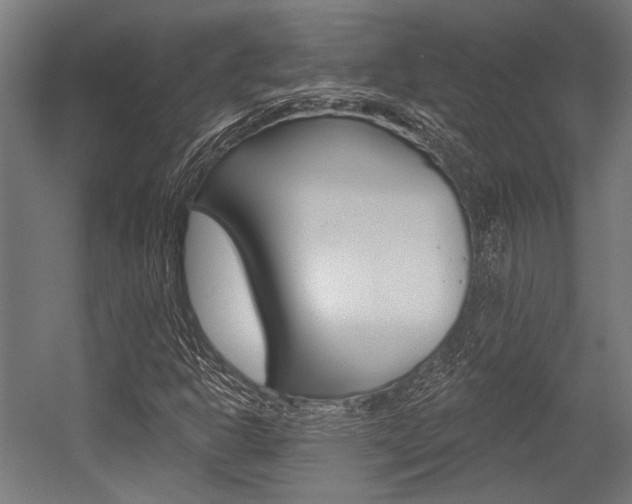 X0000054361302200507290754