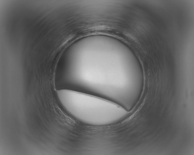 X0000054361305200507290754