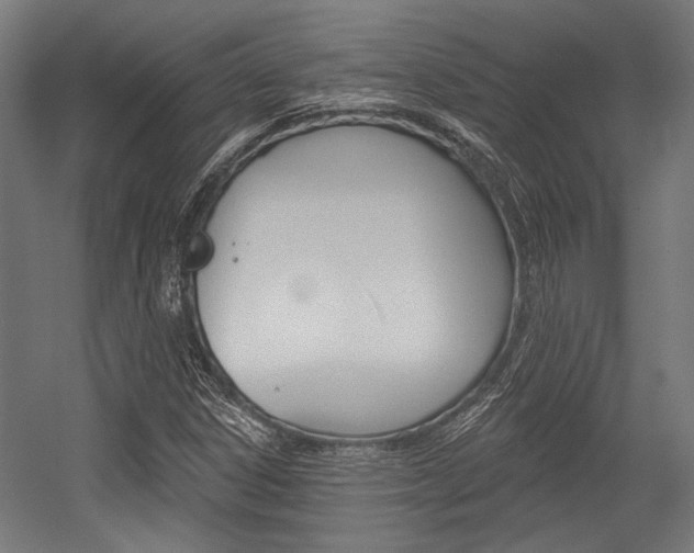 X0000054361306200507290754