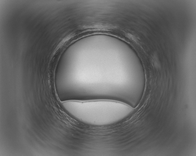 X0000054361307200507290754
