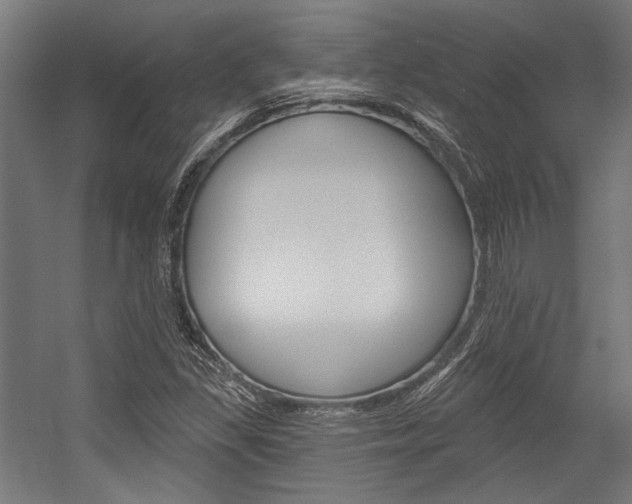 X0000054361309200507290754