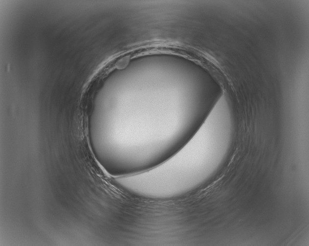 X0000054361310200507290754