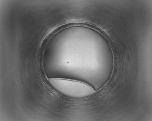 X0000054361311200507290754