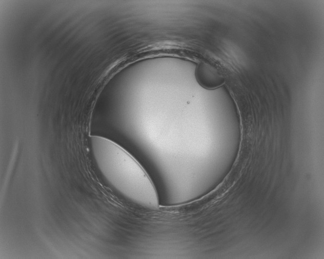 X0000054361313200507290754