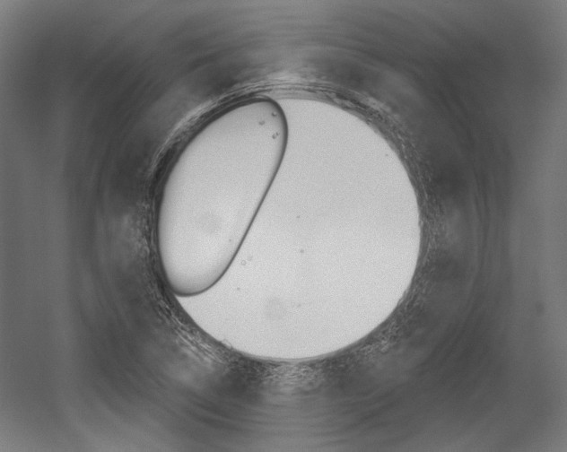 X0000054361314200507290754