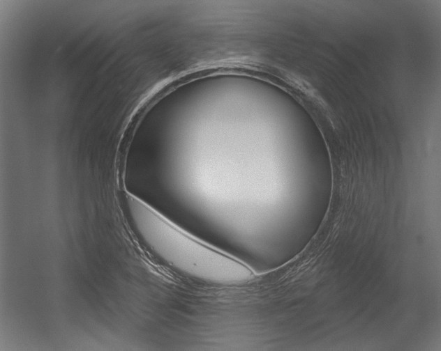 X0000054361316200507290754
