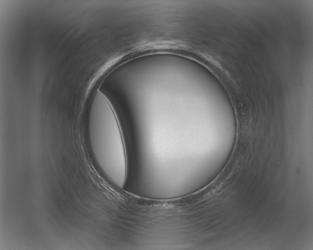 X0000054361317200507290754