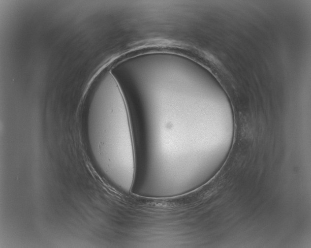 X0000054361318200507290754