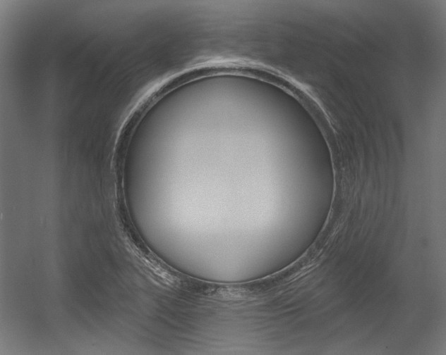 X0000054361319200507290754