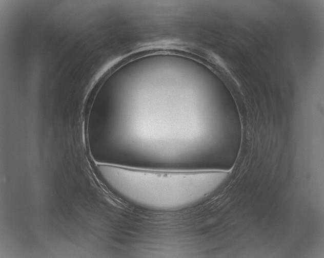 X0000054361320200507290754