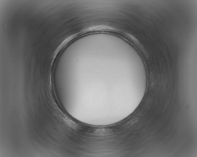 X0000054361322200507290755