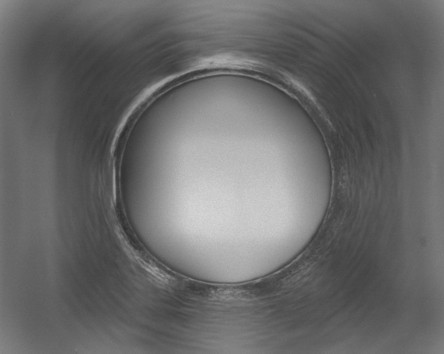 X0000054361323200507290755