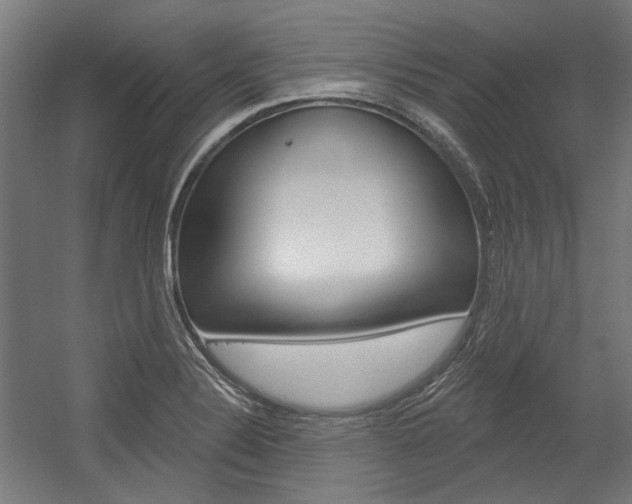 X0000054361324200507290755