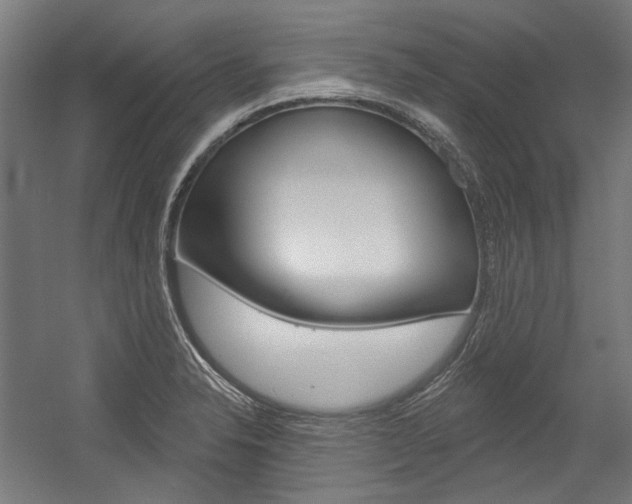 X0000054361326200507290755