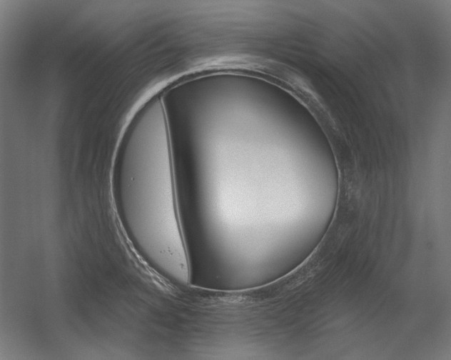X0000054361328200507290755