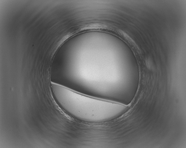 X0000054361329200507290755